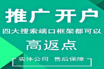 百度竞价推广案例：行业领军者成长故事